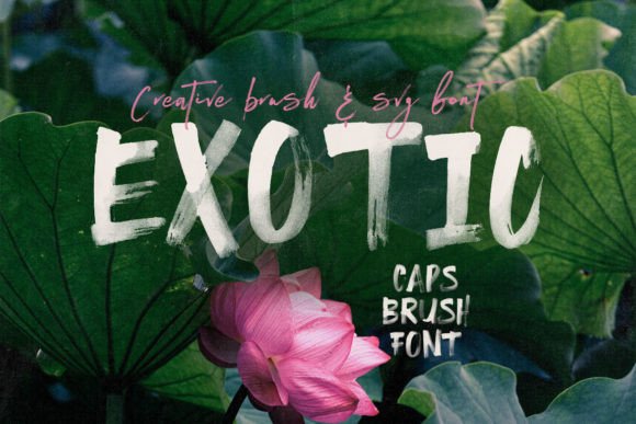 Download Exotic - Premium Bundle